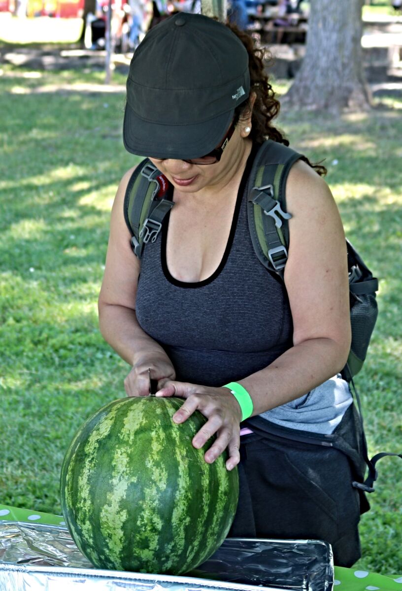 Woman slices a watermelon