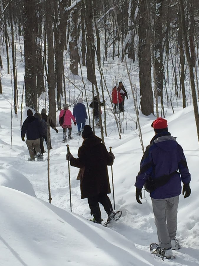 A group of people snowshoe in Gatineau Park