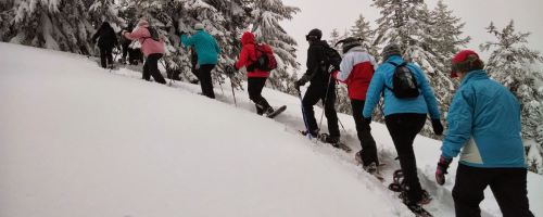 Snowshoe January at CCI Ottawa